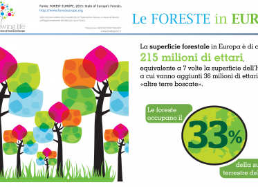 Le infografiche di foresteurope.org – traduzione e trasformazione in video