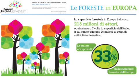 Le infografiche di foresteurope.org – traduzione e trasformazione in video